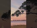 Peaceful lake & stupa 🌿 Sleep, study & meditate | Thisa Wewa 🇱🇰 #naturesounds #lakeambience #nature
