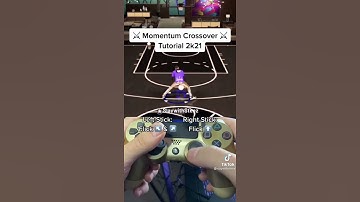 Momentum Crossover Tutorial🦍