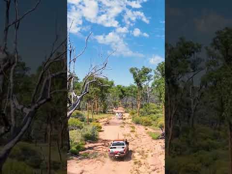 Video: Queenslandin kansallispuistot