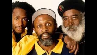 Steel Pulse - Not King James Version