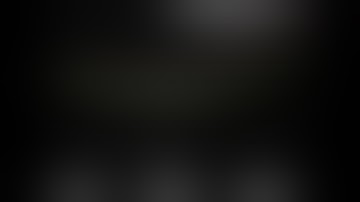 Asvide: Real-time OCT imaging and automated segmentation and thickness measurement of the in vivo...