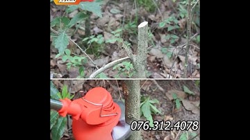 MÁY CẮT CỎ X2000 NHẬP KHẨU ĐỨC MẠNH MẼ NHƯ THẾ NÀO???