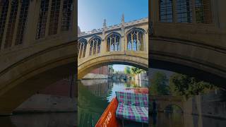 Cambridge Punting #punting #cambridge #uk #relax #dayout #travel #europe