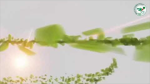 Qophii Eebba ONM-ABO Sadaasa 17-2025 itti dhiyaadhaa!