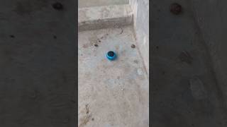 jbl bluetooth speaker jumping testing #shorts​