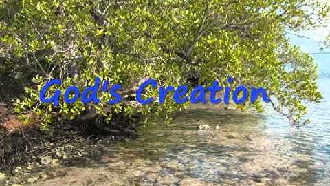 Island Navigation Promo