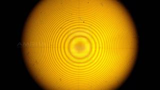 Newton's Rings - Amrita University