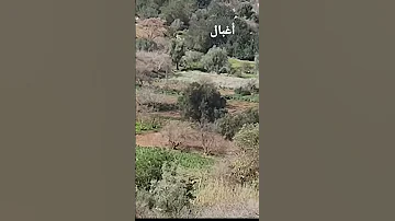 أغبال الناظور بركان وجدة Oujda Nador Berkane السعيدية أحفير Saïdia 