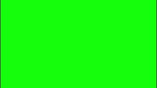 layar green screen untuk background video