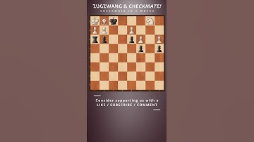 Zugzwang & Checkmate!