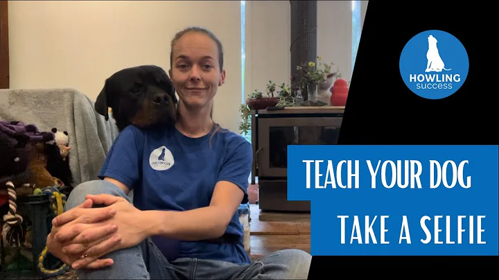 Teach Your Dog Take A 'Selfie' with Jess @ Howling...