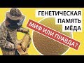 ГЕНЕТИЧЕСКАЯ ПАМЯТЬ МЕДА. МИФ ИЛИ ПРАВДА. Как проверить мед