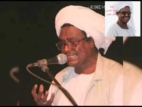 محجوب شريف محمد الحسن سالم حميد