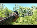 Kimi No Toriko - Summertime | Fingerstyle Guitar Cover