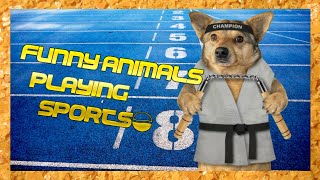 😂 FUNNY 🙊 Animals Playing ⚽ SPORTS [COMPILATION] by Animals for All 431 views 3 years ago 4 minutes, 16 seconds