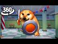 What The Dog Doin? Doge in YOUR SCHOOL ! | 360° VR