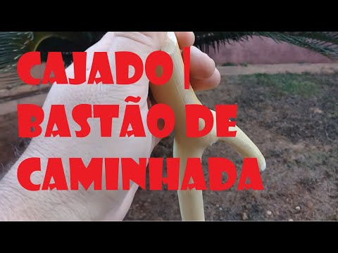 Cajado, como fazer | Bastão de Caminhada - DIY