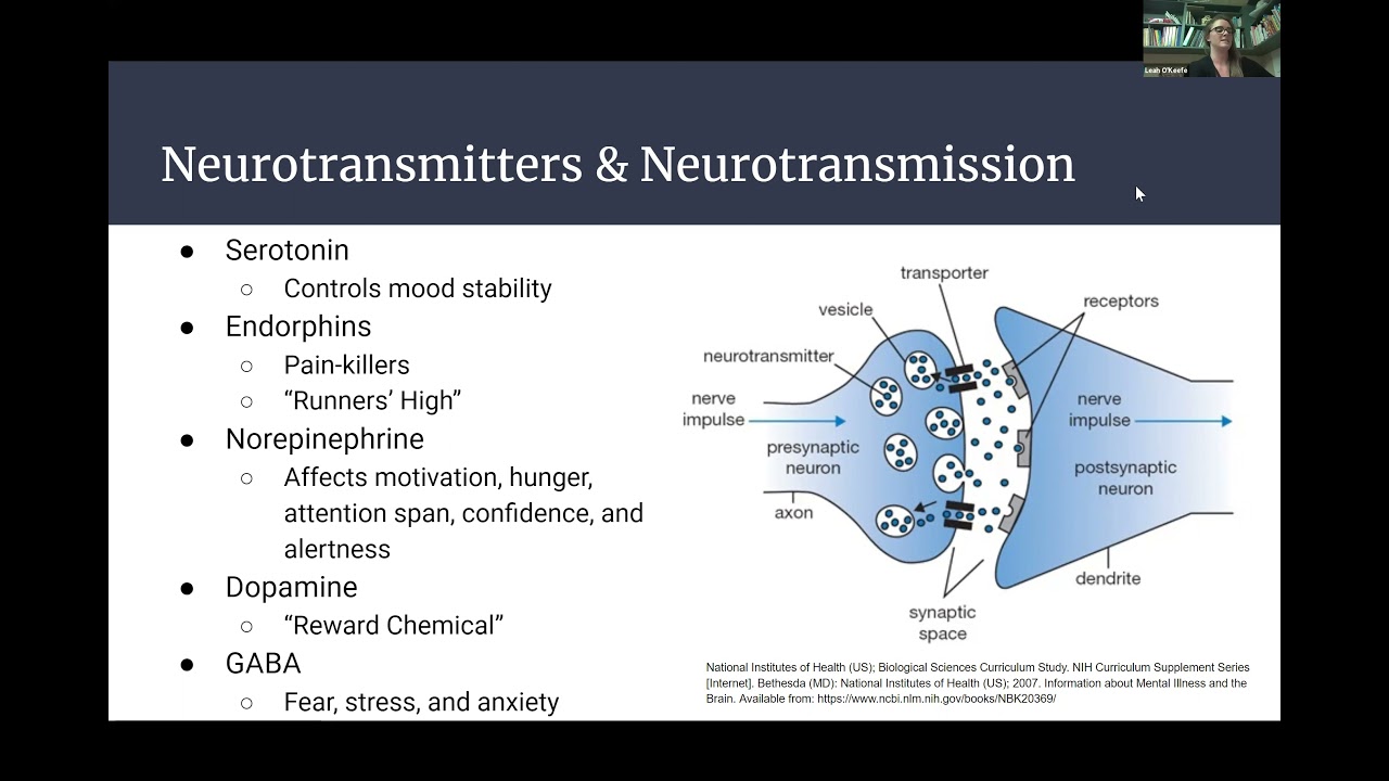 The Future of Healthcare- Addiction, mental health and exercise.