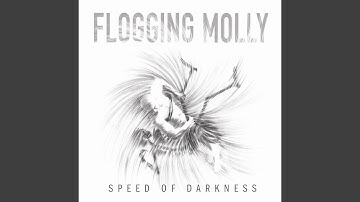 Speed of Darkness