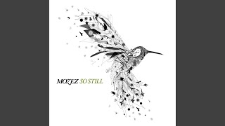 Video thumbnail of "Mozez - Beautiful Day"