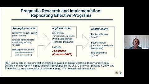 Replicating Effective Programs (REP) with Dr. Amy Kilbourne, VA QUERI