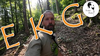 Download Lagu EKG - Entspannter Kontrollgang MP3 Download Lagu EKG - Entspannter Kontrollgang MP3