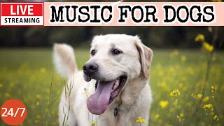 🔴[LIVE] Dog Music🎵🐶Relaxing Music for Dogs🐶💖Soothing Dog Sleep Music💖🦮Separation Anxiety Relieve💖10