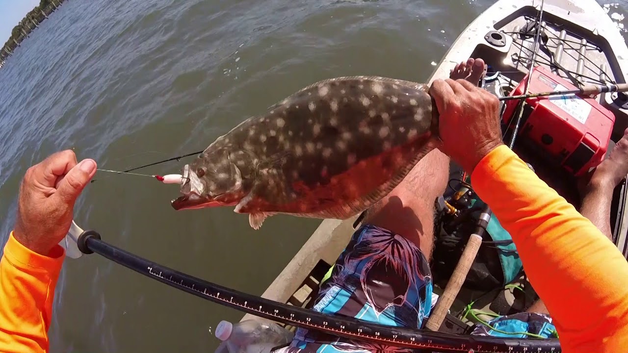 Wade Fishing for Flounder - FYAO Saltwater Media Group, Inc.