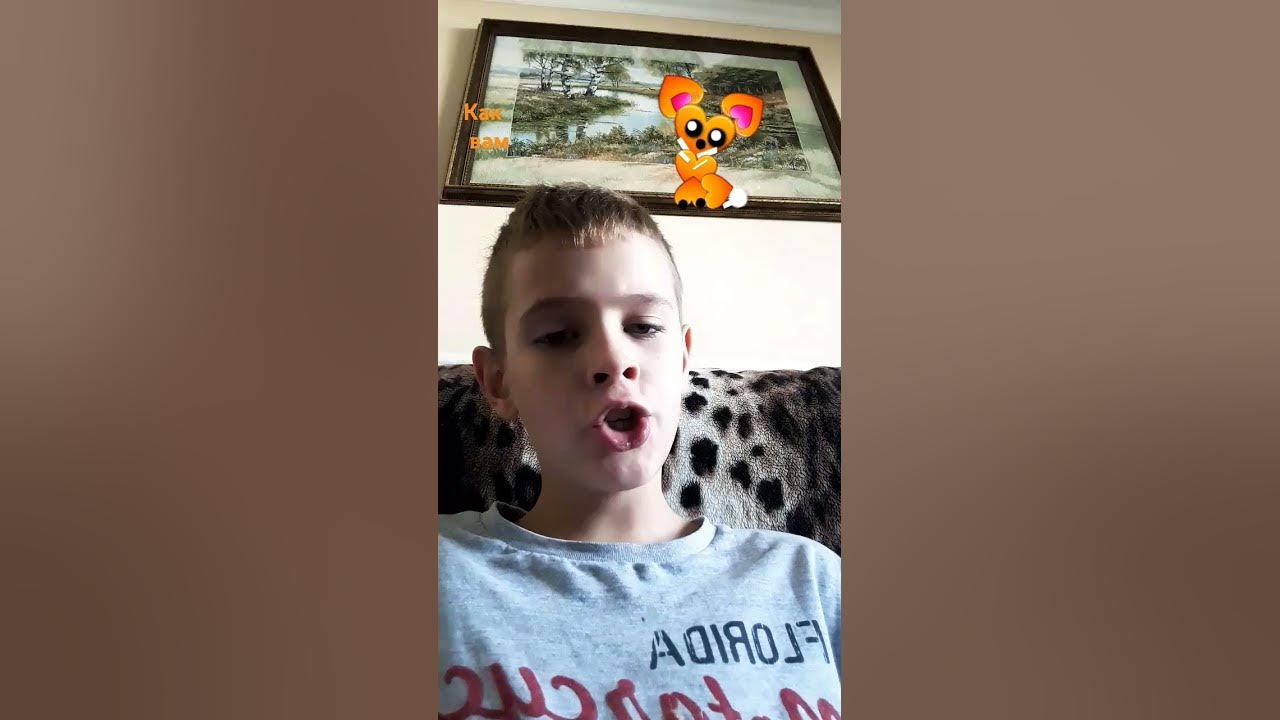 #даша дошик #лиса - YouTube