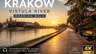 Peaceful Morning Walk Along the Vistula River 🇵🇱 | Kraków Poland | Footsteps & Natural Sounds | 4K
