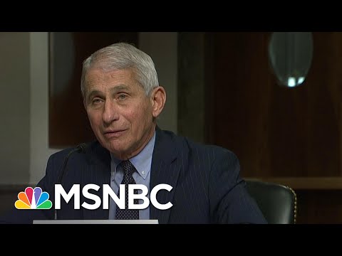 Fauci 'Cautiously Optimistic' There Will Be A Safe And Effective Coronavirus Vaccine | MSNBC