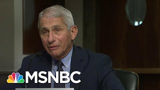 Fauci 'Cautiously Optimistic' There Will Be A Safe And Effective Coronavirus Vaccine | MSNBC