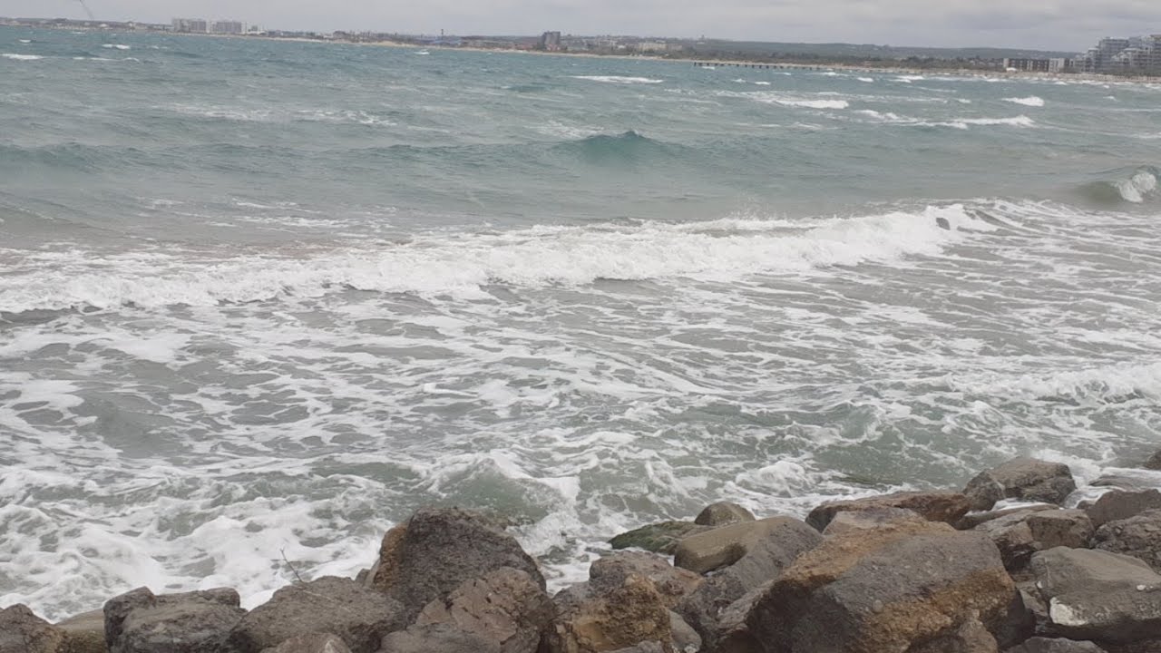 Дул влажный ветер с залива. Ветер с моря дул.