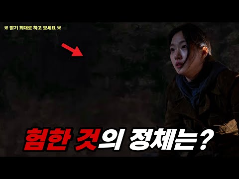 영화 《파묘》 보기 전 정보 및 예고편 분석! 🔥 관에서 나온 험한 것의 정체는? 👹