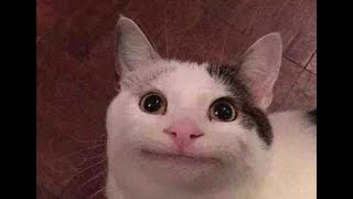 Why Current Chinese Movies Are Not As Good As Before