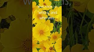 Full Bible Verse Revelation 1:8 #biblestudy #shortsviral #amazing #instagram #motivational #viral Update