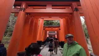 The Red Gates Kyoto - Fusimi Inari