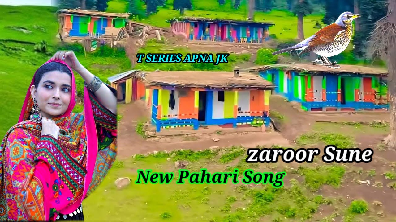 Pahari Singer Peer Gali De Sune Rate : Rashad Ashraf New Pahari Song : Latest Gojri ...