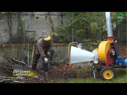 Video: Cum obțin energia cianobacteriile?