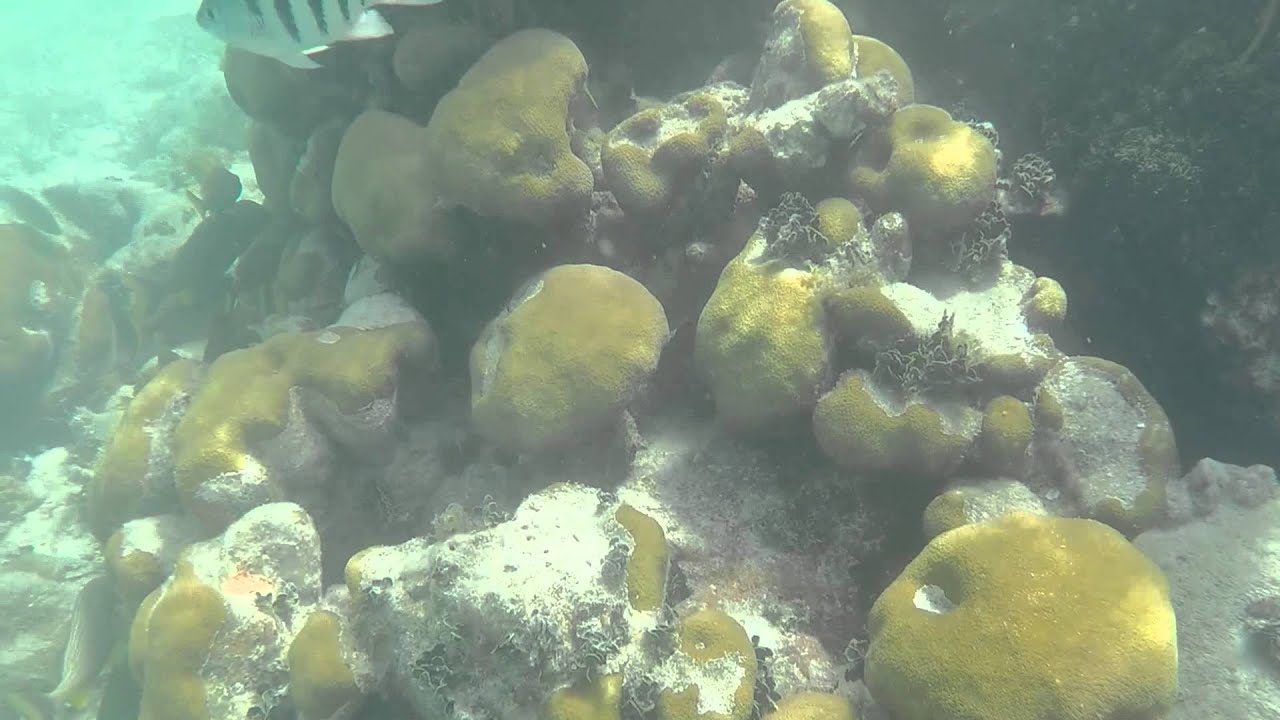 Fort Jefferson on Garden Key, Dry Tortugas