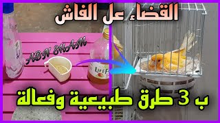 كيف اتخلص من الفاش? داخل القفص وفي ?العش و ?بجسم الطير ب 3 طرق طبيعية وفعالة 100%ان شاء الله??