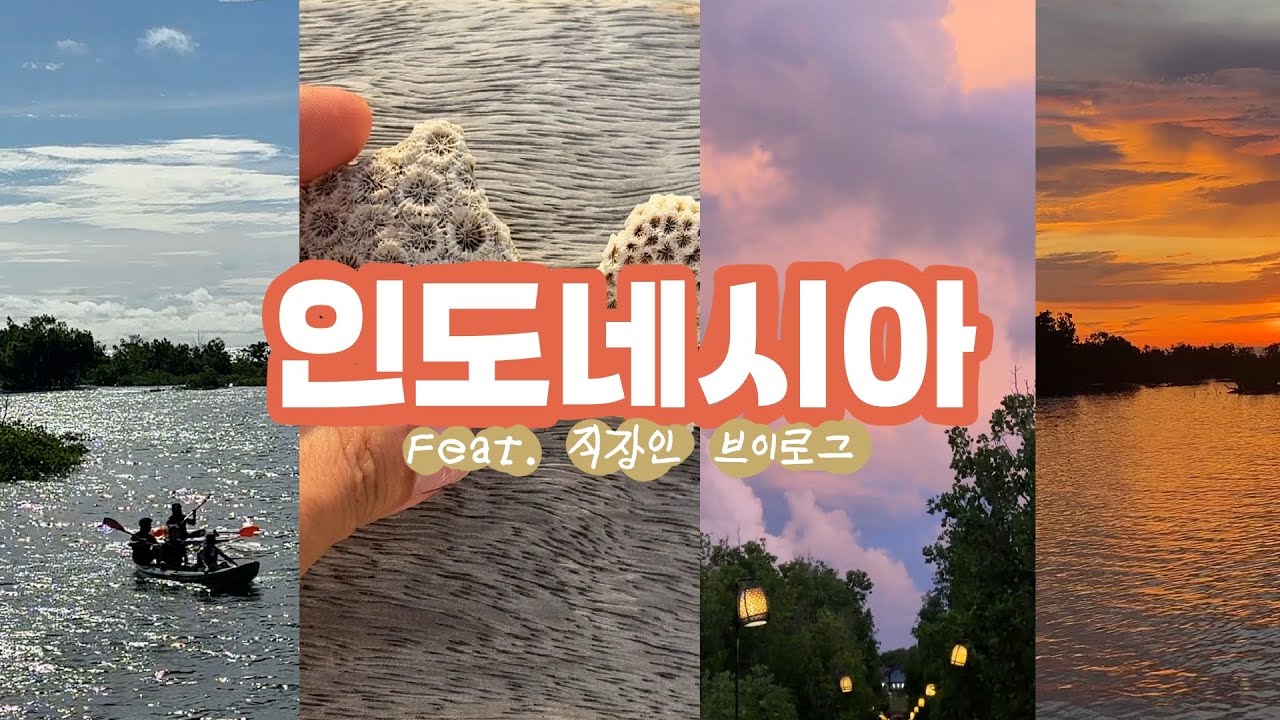 🇮🇩 인도네시아 마나도 | 감기와 이사 그리고 선셋 맛집