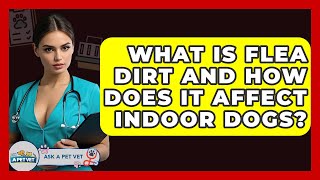 What Is Flea Dirt And How Does It Affect Indoor Dogs? - Ask A Pet Vet