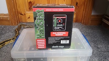 How to set up a quarantine enclosure for a baby ball python