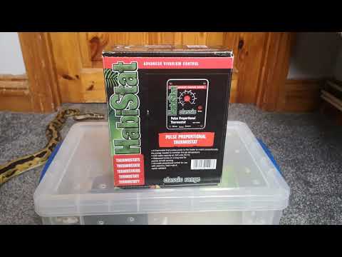 How to set up a quarantine enclosure for a baby ball python