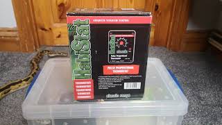 How to set up a quarantine enclosure for a baby ball python
