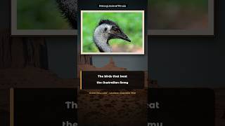 The Birds That Beat the Australian Army