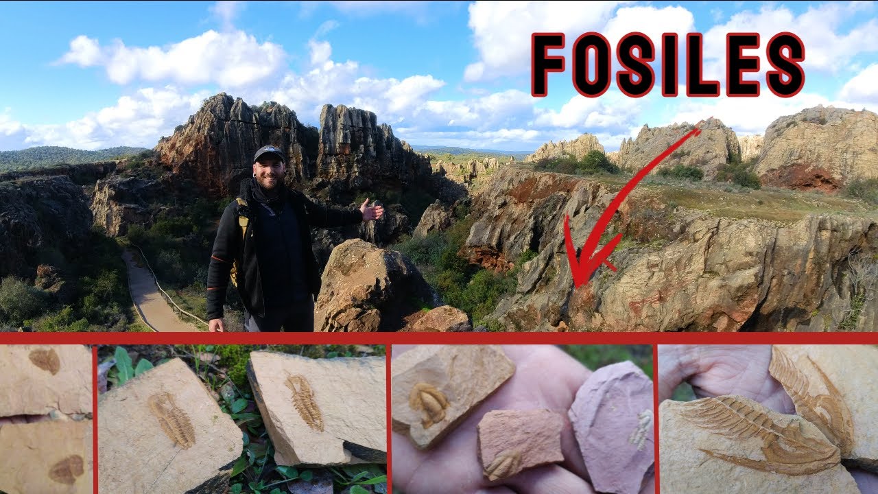 Encontramos FOSILES y MINERALES en El CERRO del HIERRO