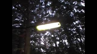 Abandoned street light in woods