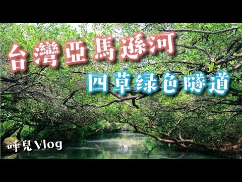 國內旅遊｜你知道台南有這超狂地方嗎？🌳四草綠色隧道🌳 (台江觀光船、四草大眾廟)